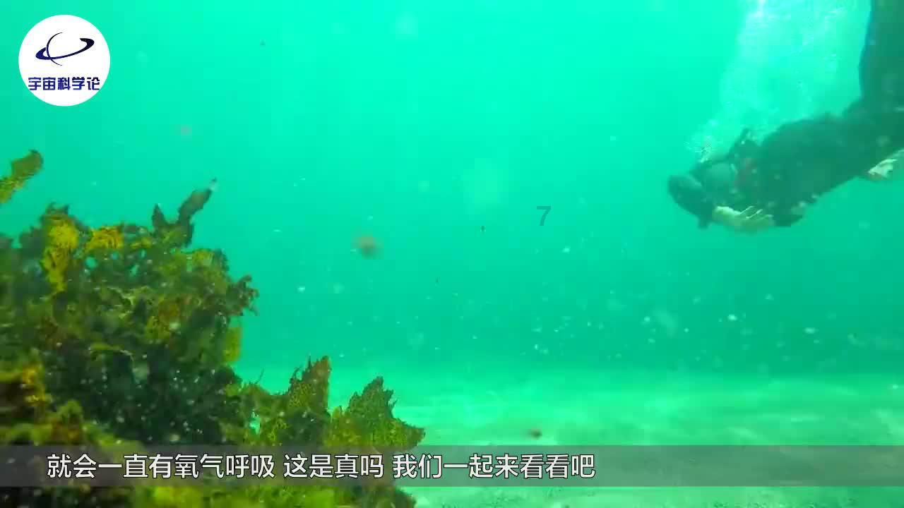 【立足岗位做贡献】阿拉善左旗妇幼保健院率先独立开展全盟首例免气腹单孔腹腔镜手术